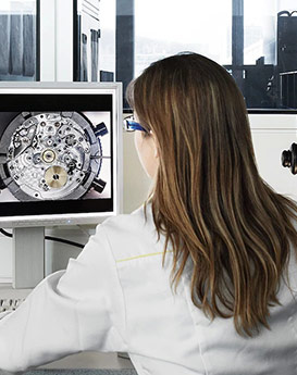 达芙妮·克劳迪娅-上海帝舵维修点